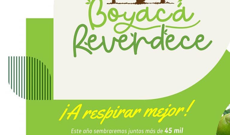 Estrategia Boyacá Reverdece plantará 45 mil nuevos árboles