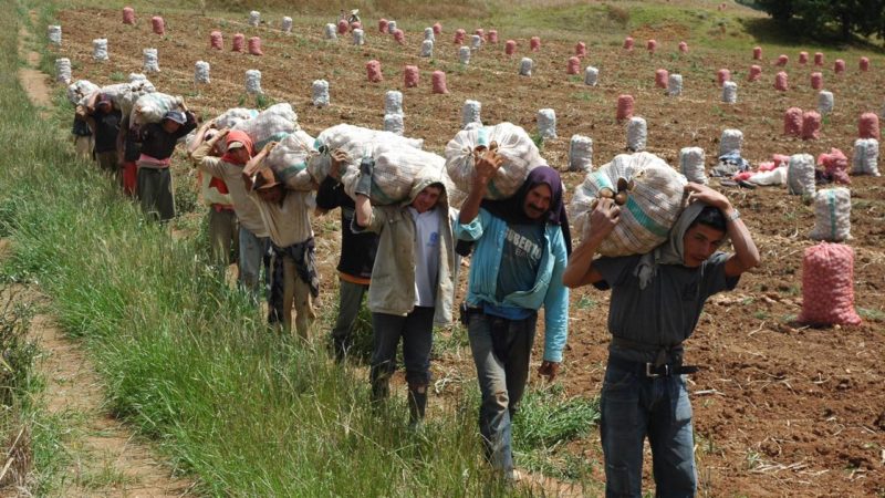 7.000 mercados saldrán  desde las parcelas Boyacenses hasta la capital del país.