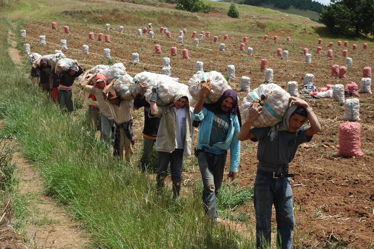 7.000 mercados saldrán  desde las parcelas Boyacenses hasta la capital del país.