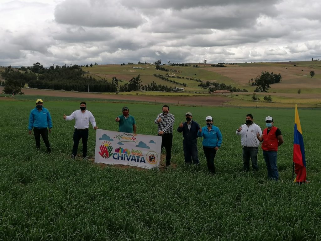 En Chivatá sigue avanzando el programa ‘Boyacá nos Alimenta’