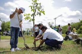 Administración Departamental conmemora el día mundial del árbol