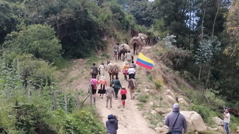 Festival de la Arriería, un atractivo turístico de Tibaná