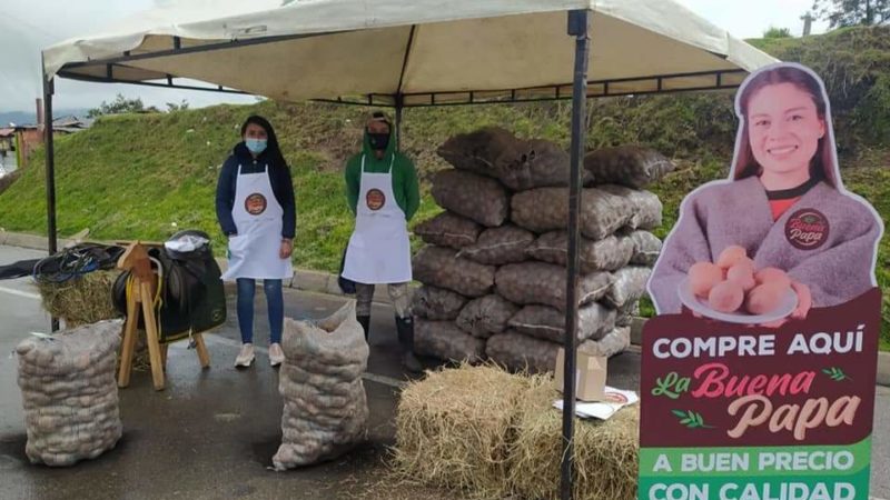 La buena papa se vendió en la “Papatón”