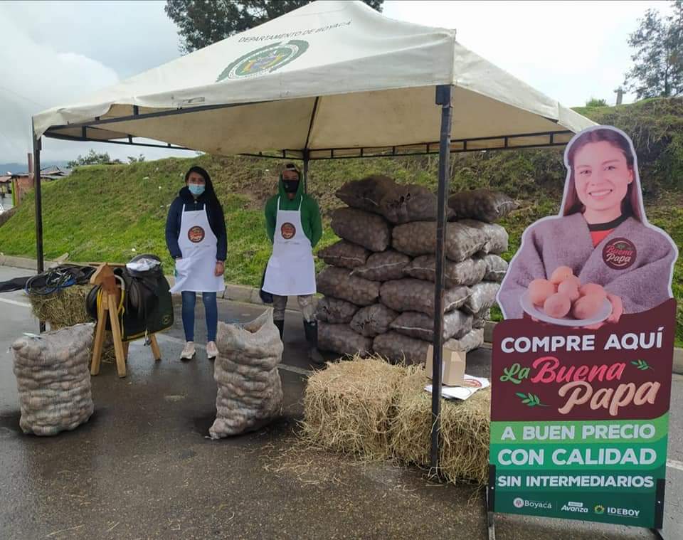 La buena papa se vendió en la “Papatón”