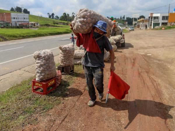 Causas de la situación que atraviesan los campesinos por bajas ventas de papa en Boyacá