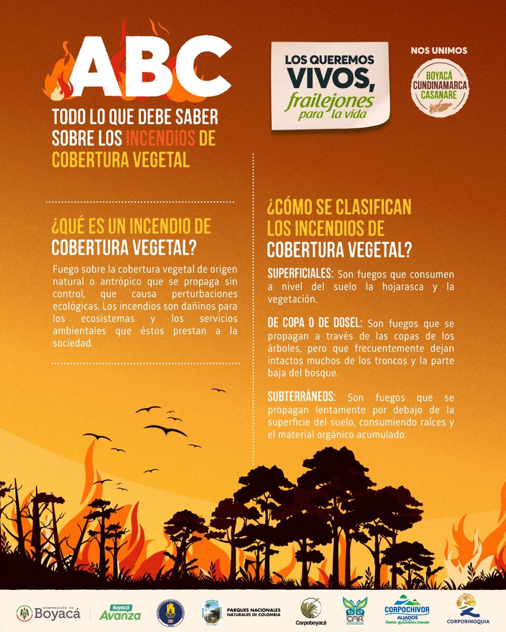 ABC, todo lo que debe saber sobre los incendios de cobertura vegetal