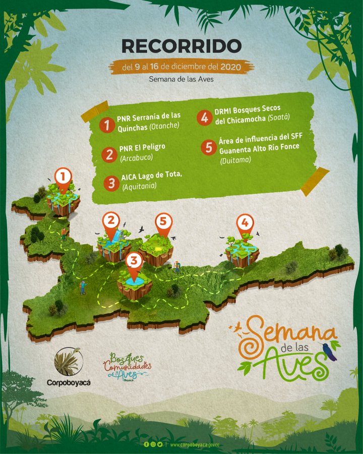 ¡Esta es la ruta de la semana de las aves!