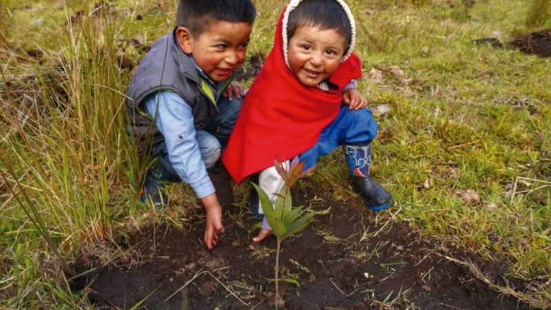 Boyacá se unió a la sembratón Nacional “Embajadores de la Tierra” realizada por el Banco Agrario