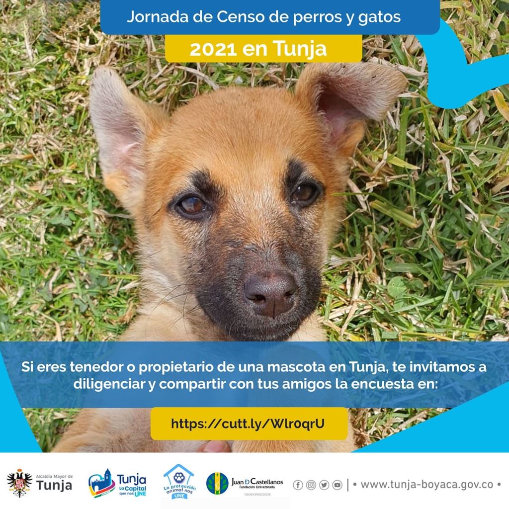 Jornada de Censo de población canina y felina en la ciudad de Tunja 2021