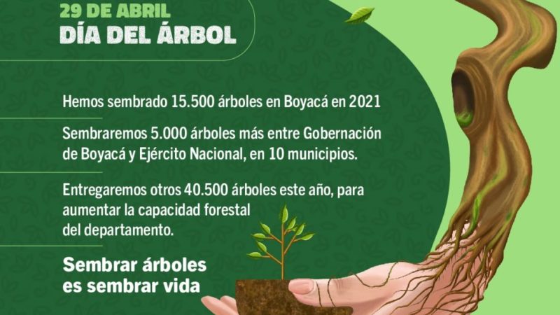 5.000 árboles sembrará la Gobernación de Boyacá y Ejército para conmemorar el Día Nacional del Árbol