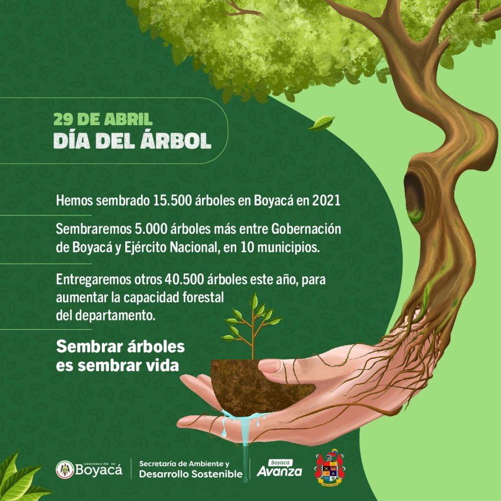 5.000 árboles sembrará la Gobernación de Boyacá y Ejército para conmemorar el Día Nacional del Árbol