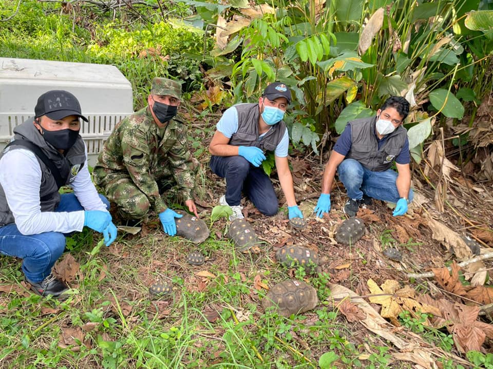 Corpoboyacá libera fauna silvestre en Puerto Boyacá