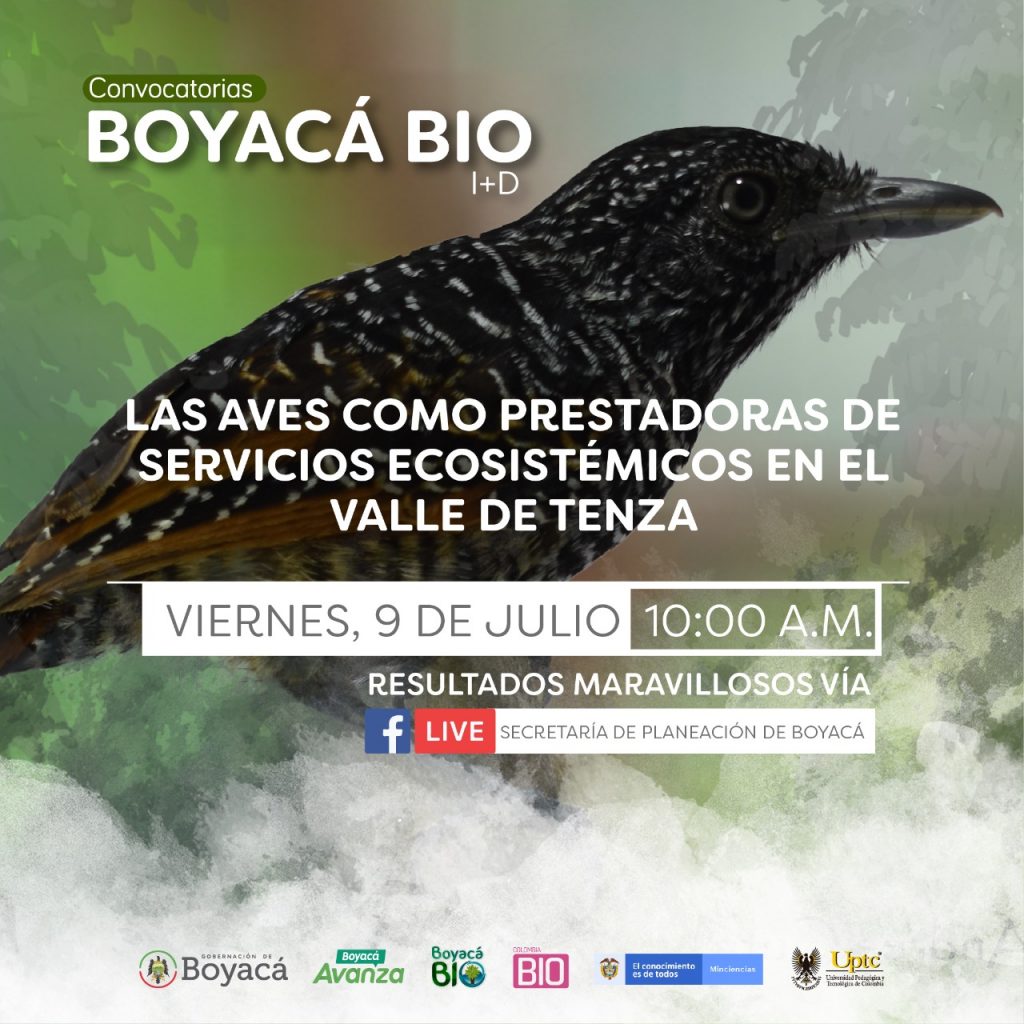 Concluyeron 24 proyectos de las convocatorias Boyacá BIO de investigación, desarrollo e innovación