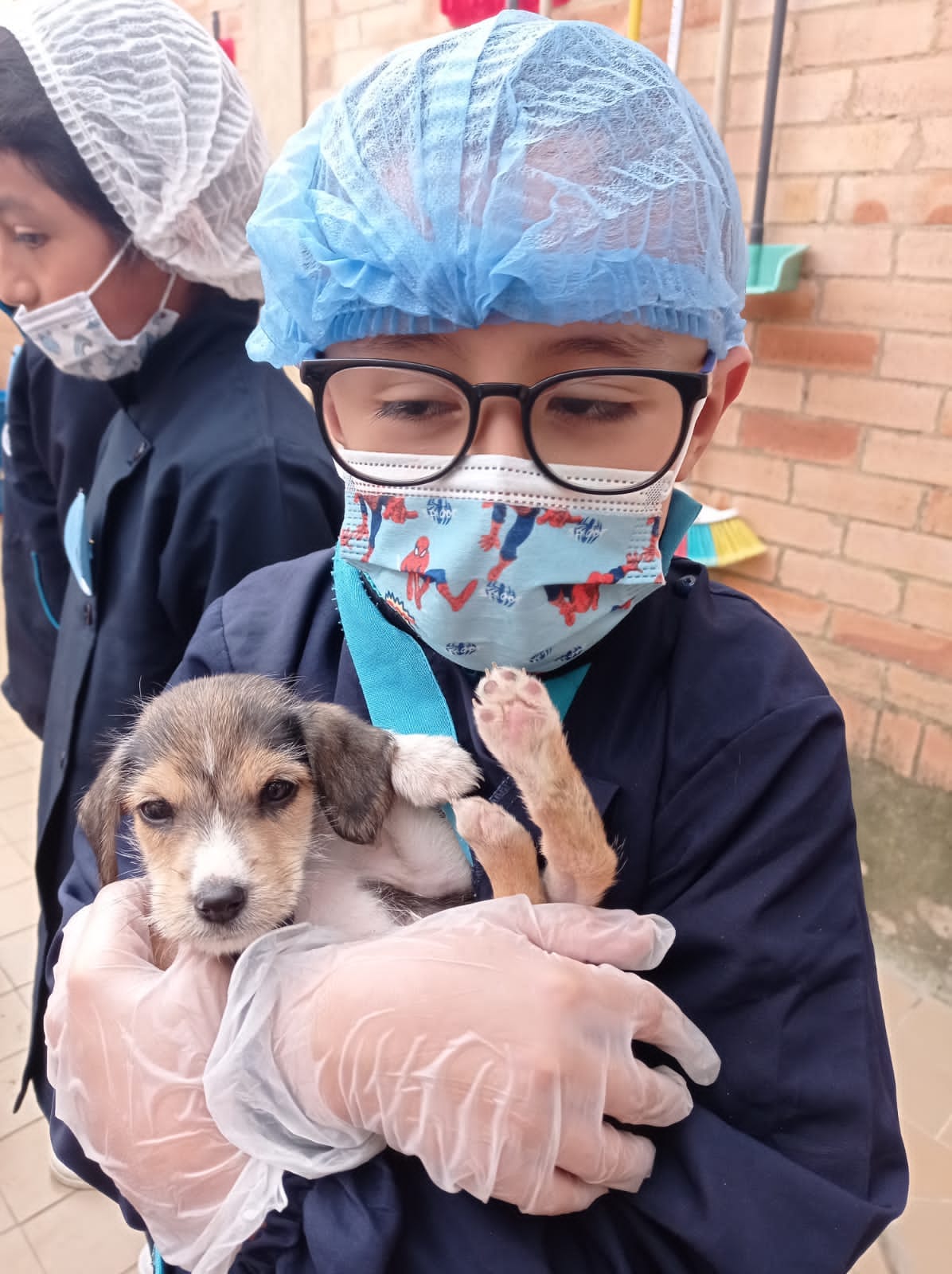 Estudiantes aprenden con la práctica sobre el cuidado de los animales