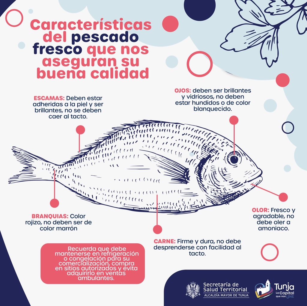 Características del pescado fresco que aseguran su buena calidad
