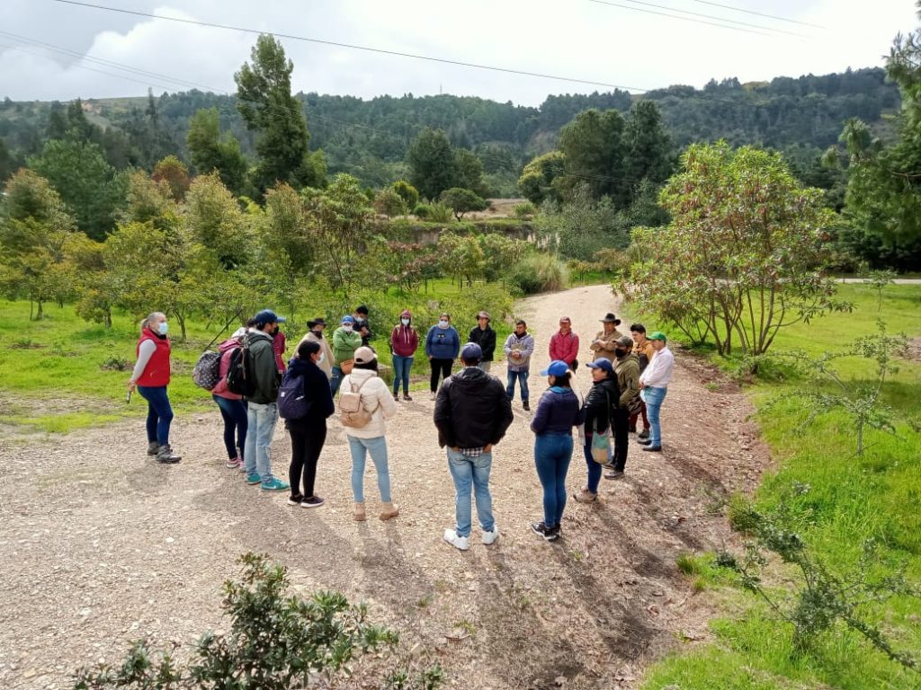 Reabre sus puertas el Jardín Botánico de Boyacá