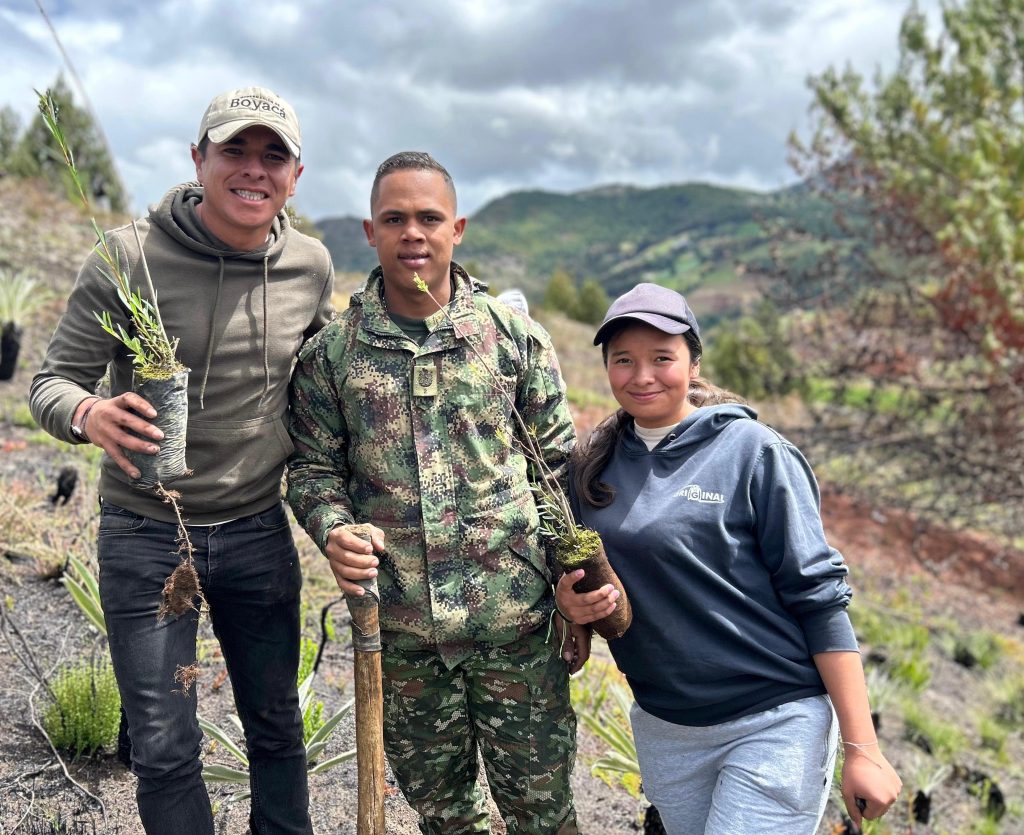 Más de 2.000 árboles nativos fueron sembrados en Aquitania en desarrollo de la estrategia ‘Montaña Viva’