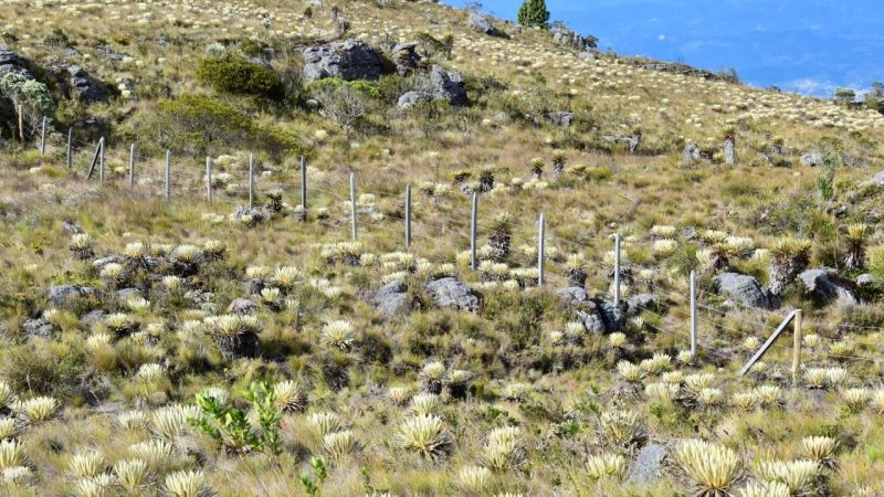 Secretaría de Ambiente y Desarrollo Sostenible supervisó actividades de conservación de ecosistemas estratégicos en Toca