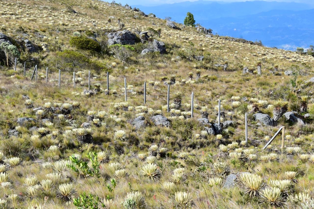 Secretaría de Ambiente y Desarrollo Sostenible supervisó actividades de conservación de ecosistemas estratégicos en Toca