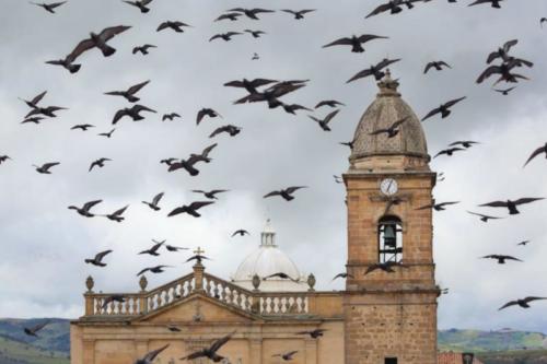 Fiesta de la Virgen del Milagro Tunja 2019