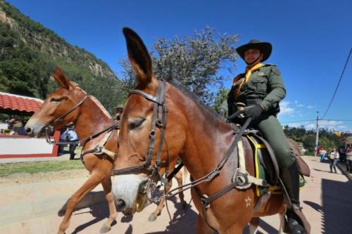 Socha 200 años después del paso del Libertador Simón Bolívar 